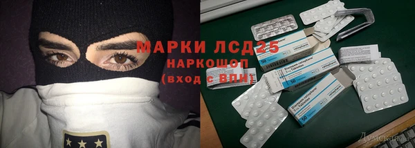 мдпв Бикин