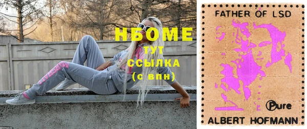 сатива Билибино